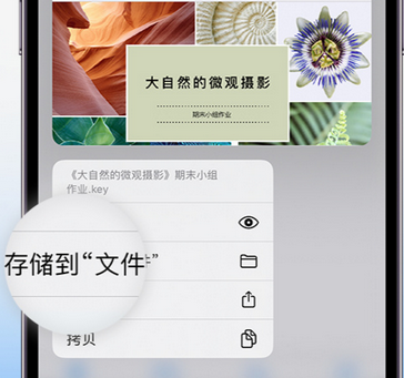 刚察apple维修中心分享iPhone文件应用中存储和找到下载文件