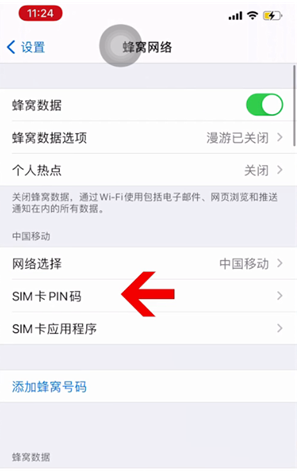 刚察苹果14维修网分享如何给iPhone14的SIM卡设置密码 