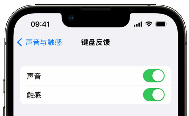 刚察苹果手机维修分享iPhone 14触感键盘使用方法 