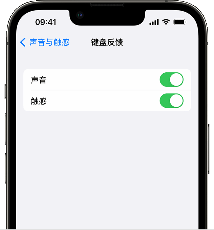 刚察苹果14维修店分享如何在 iPhone 14 机型中使用触感键盘 