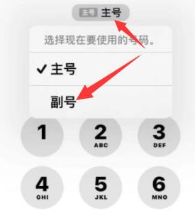 刚察苹果14维修店分享iPhone 14 Pro Max使用副卡打电话的方法 