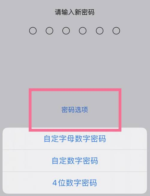 刚察苹果14维修分享iPhone 14plus设置密码的方法 