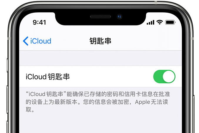 刚察苹果手机维修分享在 iPhone 上开启 iCloud 钥匙串之后会储存哪些信息 