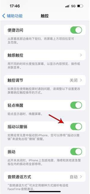 刚察苹果手机维修分享iPhone手机如何设置摇一摇删除文字 